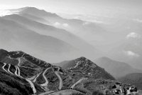 247 - ZIGZAG - MAITY BASUDEV - india <div